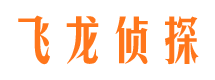 团城山市婚姻调查